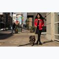 Giacca da donna Pitbull Angela San Diego Hooded Varsity fluo/red 17