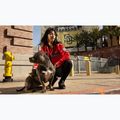 Giacca da donna Pitbull Angela San Diego Hooded Varsity fluo/red 19