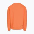 Felpa da uomo Pitbull Dogwood Crewneck Sweatshirt fluo orange 5