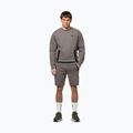 Felpa da uomo Pitbull Dogwood Crewneck Sweatshirt taupe 2