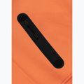 Felpa da uomo Pitbull Dogwood Hooded Sweatshirt fluo orange 7