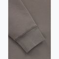 Felpa da uomo Pitbull Dogwood Hooded Sweatshirt taupe 10
