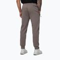 Pantaloni da uomo Pitbull Dogwood Track taupe 3