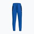 Pantaloni da uomo Pitbull Dogwood Track imperial blue 4