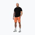 Pantaloncini da uomo Pitbull Dogwood Sport fluo orange 4