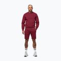 Felpa da uomo Pitbull Sampson Crewneck Sweatshirt burgundy 2