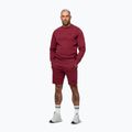 Felpa da uomo Pitbull Sampson Crewneck Sweatshirt burgundy 4