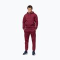 Felpa da uomo Pitbull Sampson Hooded Sweatshirt burgundy 2