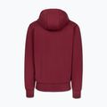 Felpa da uomo Pitbull Sampson Hooded Zip Sweatshirt burgundy 6
