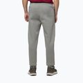 Pantaloni da uomo Pitbull Sampson Track grey/harbour 3