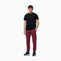Pantaloni da uomo Pitbull Sampson Track burgundy 2