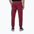Pantaloni da uomo Pitbull Sampson Track burgundy 3