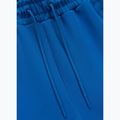Pantaloni da uomo Pitbull Track Powers azure blue 5