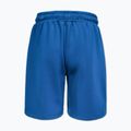 Pantaloncini da uomo Pitbull Track Powers azure blue 4