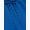 Pantaloncini da uomo Pitbull Track Powers azure blue 5