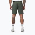 Pantaloncini da uomo Pitbull Nugget Small Logo sage green 3