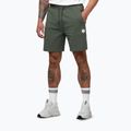 Pantaloncini da uomo Pitbull Nugget Small Logo sage green 5