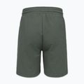 Pantaloncini da uomo Pitbull Nugget Small Logo sage green 7
