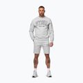 Felpa da uomo Pitbull Badger Crewneck grey/melange 2