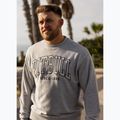 Felpa da uomo Pitbull Badger Crewneck grey/melange 11