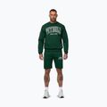 Felpa da uomo Pitbull Badger Crewneck hunter/green 2