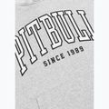 Felpa da uomo Pitbull Badger Hooded grey/melange 9