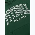 Felpa da uomo Pitbull Badger Hooded hunter green 8