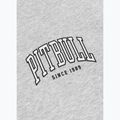 Felpa da uomo Pitbull Badger Hooded Zip grey/melange 11