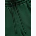 Pantaloni da uomo Pitbull Badger Track hunter green 6