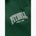 Pantaloni da uomo Pitbull Badger Track hunter green 9