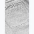Pantaloncini da uomo Pitbull Badger grey/melange 8