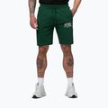 Pantaloncini da uomo Pitbull Badger hunter green
