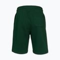 Pantaloncini da uomo Pitbull Badger hunter green 5