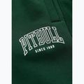 Pantaloncini da uomo Pitbull Badger hunter green 9