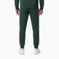 Pantaloni da uomo Pitbull Nexus Track bottle green 3