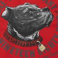 Felpa da uomo Pitbull Strenght & Respect Sweatshirt Hooded red 9