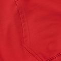 Felpa da uomo Pitbull Strenght & Respect Sweatshirt Hooded red 12