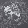 Felpa da uomo Pitbull World Sweatshirt Zip Hooded graphite 11