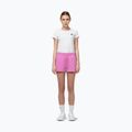 Shorts da donna Pitbull Sierra ice pink 2