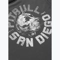 T-shirt da uomo Pitbull Dog SD graphite 9