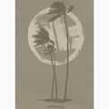 T-shirt da uomo Pitbull Palms light grey harbour 7