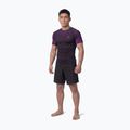Rashguard da uomo Pitbull Belt Rashguard purple 2