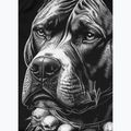Rashguard a maniche lunghe da uomo Pitbull Blacky Rashguard 8