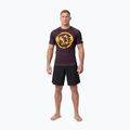 T-shirt da uomo Pitbull Rashguard Logo Palms brown 2