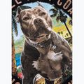 Maglietta da donna Pitbull Beach Girl black 11