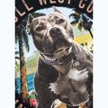 T-shirt da uomo Pitbull Beach Boy black 11