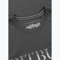 T-shirt da uomo Pitbull World graphite 3