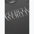 T-shirt da uomo Pitbull World graphite 4