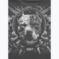 T-shirt da uomo Pitbull World graphite 5