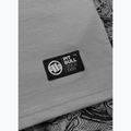 T-shirt da uomo Pitbull Avenue grey 8